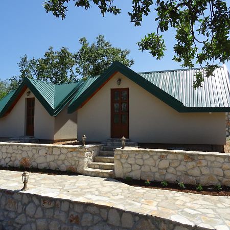 Apartmani Vinici Danilovgrad Exterior foto